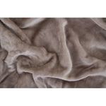 Warm Microfiber Blanket - 220×180 Cm - Mocca