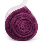 Mintra Super Soft Warm Microfiber Blanket - Large - Purple