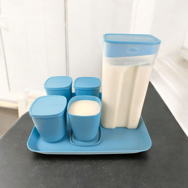 Set Of 6 Pcs For Juices (High Quality) (Ramanan Set)